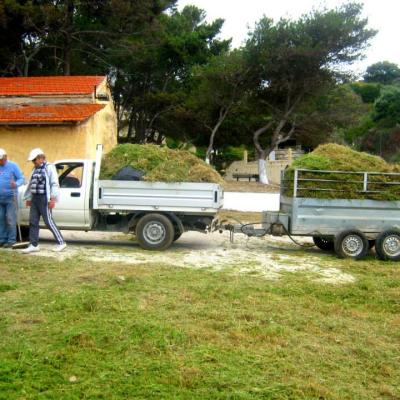 Diafores Ekldiloseis 28