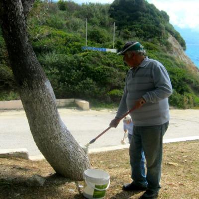 Diafores Ekldiloseis 29